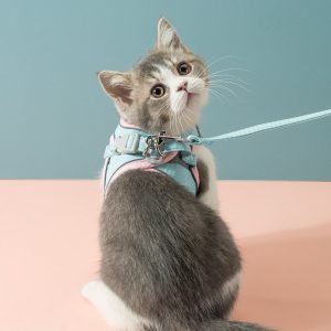 Dog Cat Harness